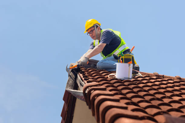 Best Solar Panel Roofing Installation  in Fairview, NC